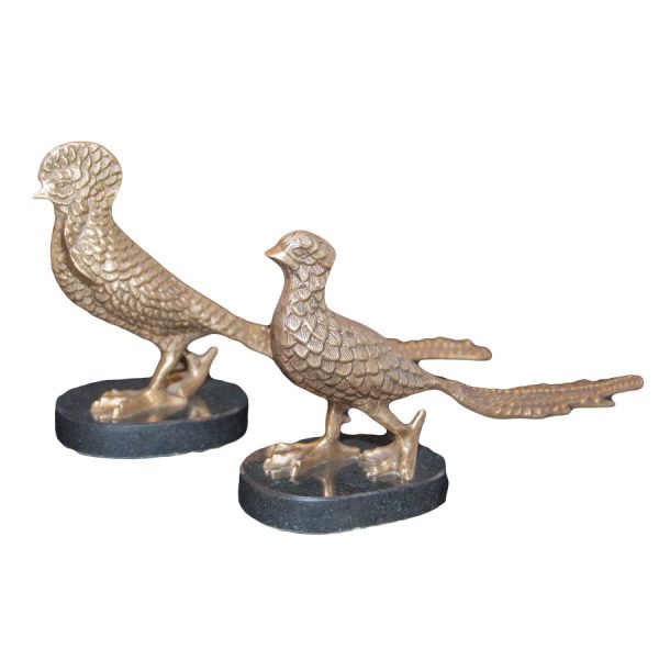 pheasant