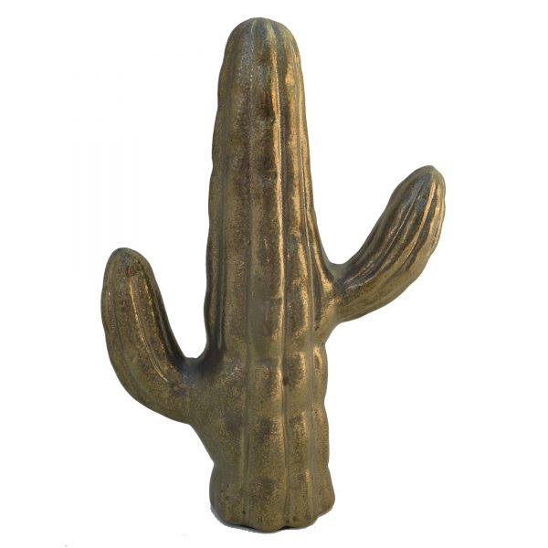 CACTUS02