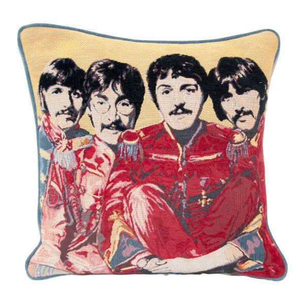 Coloured Beetles Cushion with plain back