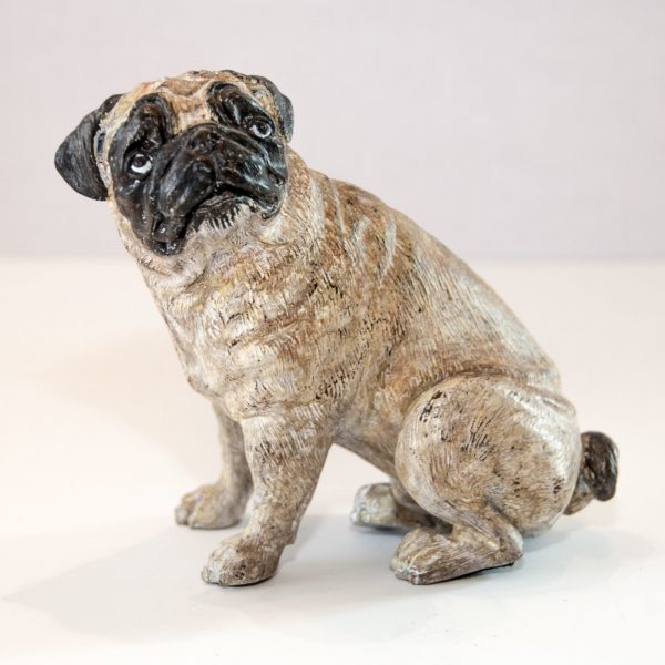 Bronze Pug