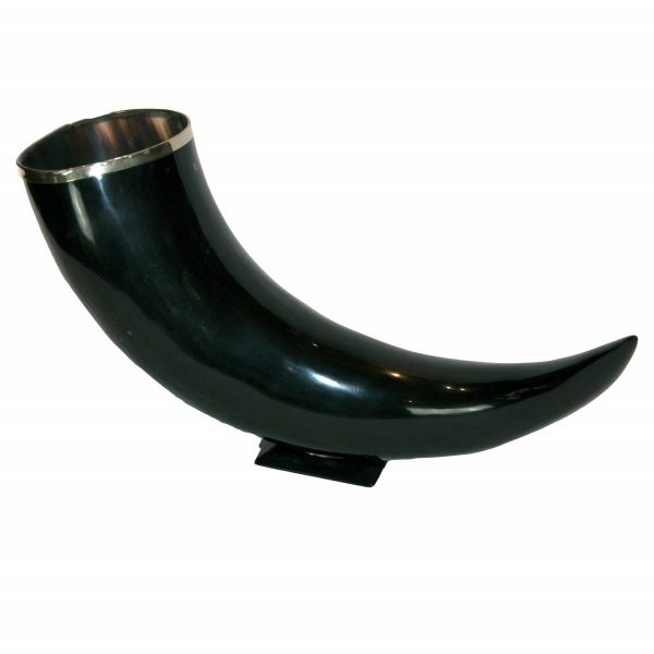 Large Black Horn with Silver Rim on Stand
