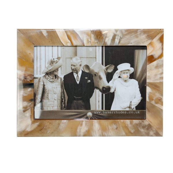 Handmade Horn and Teak Picture Frame 9x12