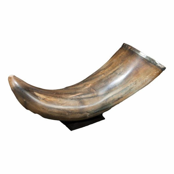 Tortoiseshell Horn with Silver Rim on Stand